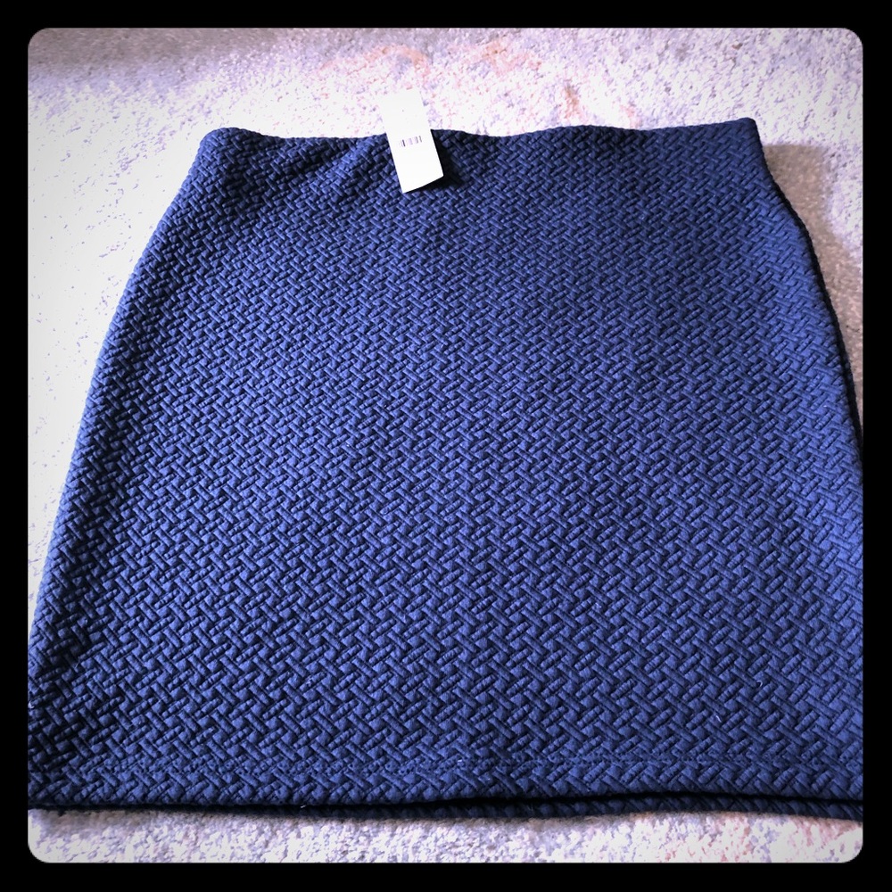 NWT Ann Taylor skirt
